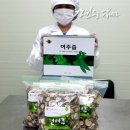 신벌농장 이미지