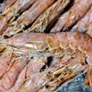 금강보링 이미지