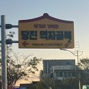 그랜드팜 한우꽃 이미지