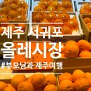 특산물위탁판매 | 제주 서귀포 매일올레시장 / 야시장 먹거리 추천, 가족여행 서귀포 코스