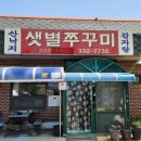 샛별쭈꾸미 이미지