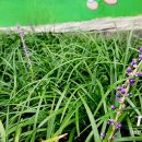 상동어린이공원 이미지