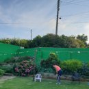 바닷가엄마집 이미지