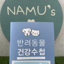 소계민원센터 | 창원시 소계민원센터 광견병 무료 예방 접종 후기