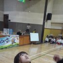 새빛체육관 이미지