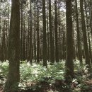 제주마을 - 노원구 상계로 100 | 제주마을