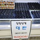 장항양계 이미지