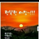 편백효소방 이미지