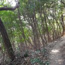 황금펜션민박 이미지