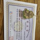 시민운동장~가선교 가로수길 | 신라의달밤 165리 걷기대회 참가 후기