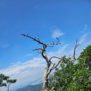 부산지방법원동부지원 이미지