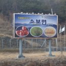 면사무소 Daum카페