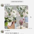 아미가플라워 - 중구 송학로 11-1 | 아미가플라워