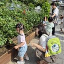 남구구립 이미지