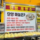 단양마늘빵 | 단빵제빵소 단양 구경시장 맛집 단양마늘빵 후기