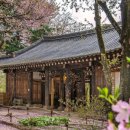 호텔정관루본관 이미지