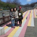 팀스터디 Daum카페