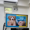 랄라펫살롱 네이버블로그