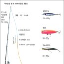 부시리. 방어낚시 채비 이미지