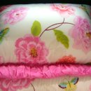 라라아비스 이미지