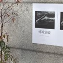 주흥길 77 (1) 이미지