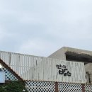 더밥스 | 강릉 핫플 카페, 갤러리밥스 주차 및 주말 오픈런 웨이팅 초당옥수수커피 내돈내산 후기