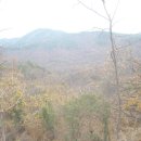 보람농장 이미지