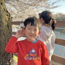 산양교 - 화천군 | 산양교