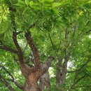 여산파출소 이미지