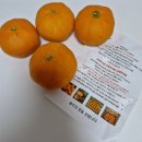 후수농장 이미지