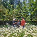 6월 3일 임시공휴일 특별활동 지원 이미지