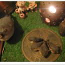 해금강복어 이미지