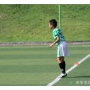 공설보조구장 Daum카페