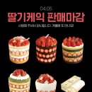 11590-3 | 성심당 지금 가야 합니다 (말차시루 4/5 종료, 임산부 프리패스 후기, 주차 꿀팁)