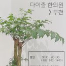 성보한의원 이미지