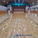 솔안초 티스토리