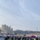 초지운동장 | 2026 김포한강마라톤대회 코스 기념품 완주 후기