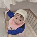 장소 추천｜파티멜로우 비비아나홀 올인원 후기 | 내돈내산 계약 후기 (스냅·의상·메이크업 한 번에)