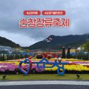 핑크뮬리 꽃단지 원 | 순창장류축제 핑크뮬리 국화부터 다양한 프로그램까지