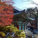 바람불어 좋은날 이미지