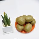 늘푸른건강마을 이미지