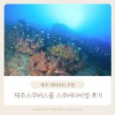 서호호근로 | 제주 스쿠버다이빙 제주스쿠버스쿨 액티비티 추천 내돈내산 솔직 후기