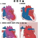 량인력개발 | 메지온 퍼즐수집1
