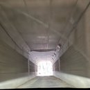 행복이 넘치는 강 펜션 이미지