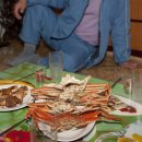 더 버틀러독 이미지