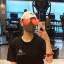파티마3D