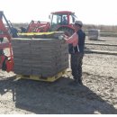 건일농장 이미지