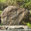 동점마을 암각문 이미지