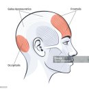 도나컨시어지 이미지