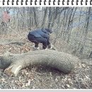 응봉산농장 이미지